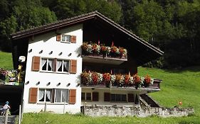 Fewo Rophaienblick